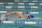 MSwim vs USCGA  Men’s Swimming & Diving vs US Coast Guard Academy. : MSwim, swimming